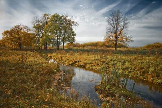 Фотоконкурс National Geographic Россия: Леса Фотоконкурс National Geographic Россия: Леса