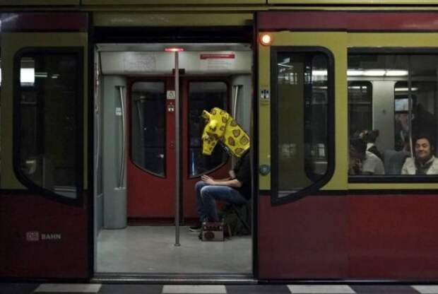 Жираф в метро