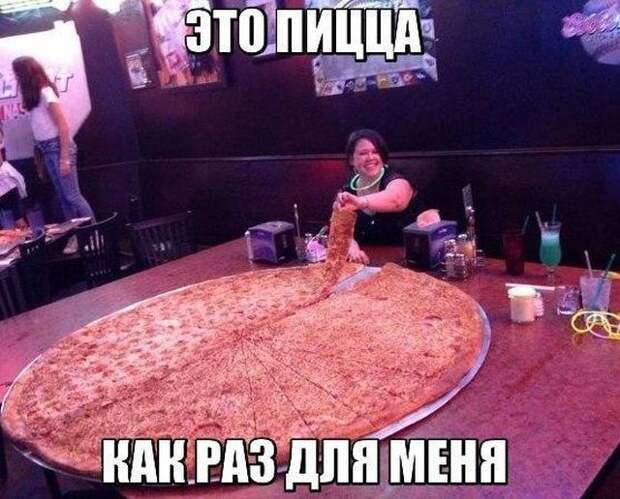 Смешные картинки с подписями (20 картинок)