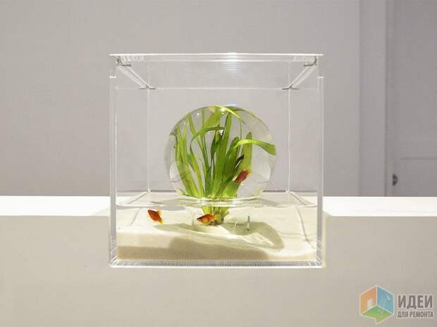 Подводная жизнь: дизайн аквариума по-японски