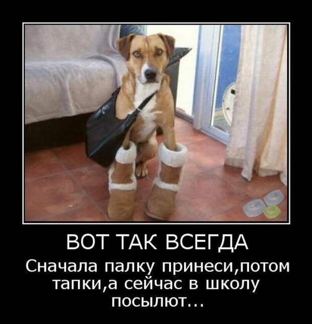 Подборка смешных демотиваторов для улыбки (12 фото) Подборка смешных демотиваторов для улыбки (12 фото)