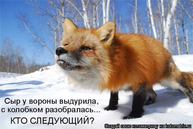 Сыр у вороны выдурила, с колобком разобралась...  КТО СЛЕДУЮЩИЙ?