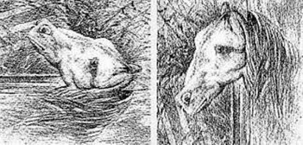 Лягушка - лошадь Перевертыши, иллюзия, картинки, прикол