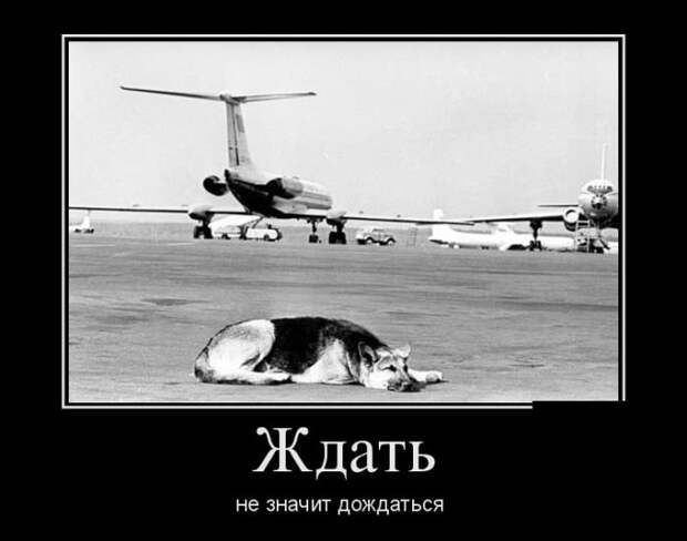 Демотиваторы на четверг (30 фото)