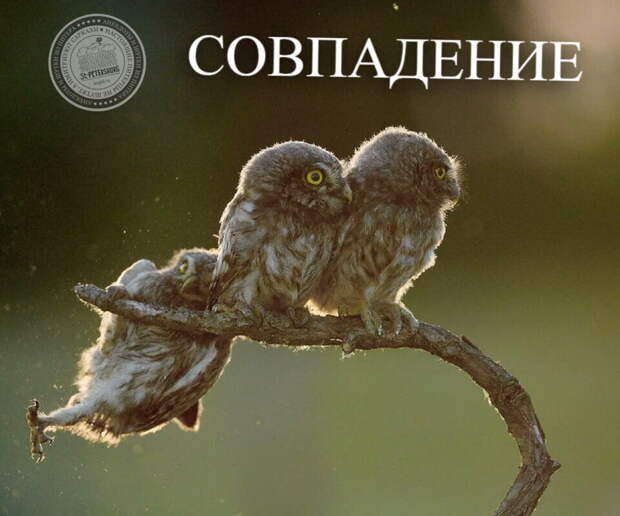 Совпадение