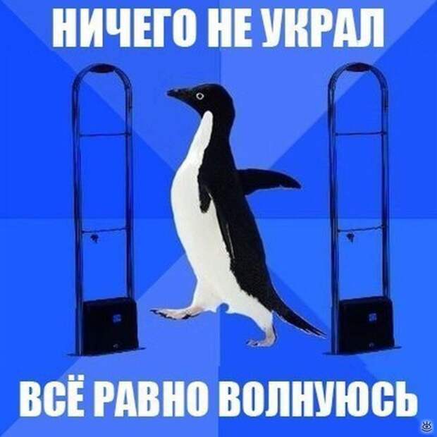 Фотосмешнявки 32