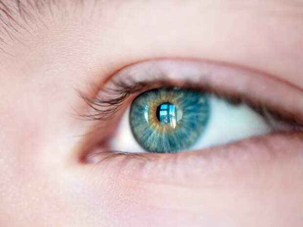 Как поддержать зрение у ребёнка?