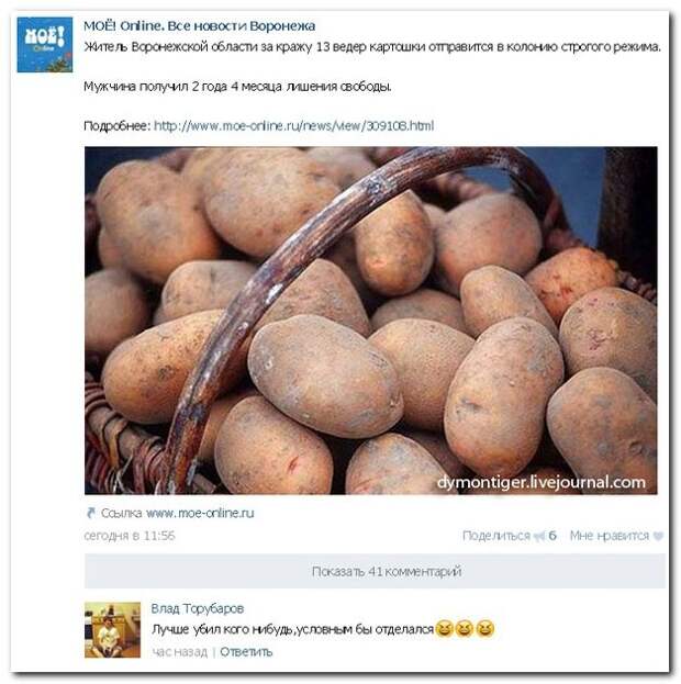 Любимые комментарии из социальных сетей