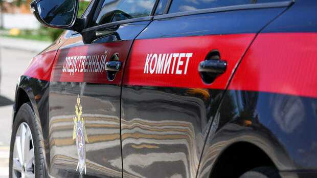 Задержан мужчина, напавший на ребенка в аэропорту Шереметьево