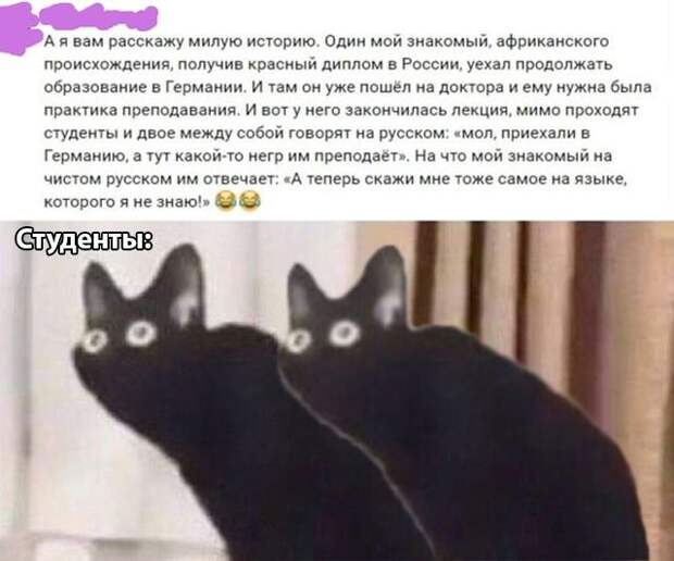 kartinok-prikolnyh-podborka-kartinki-smeshnye-kartinki-fotoprikoly
