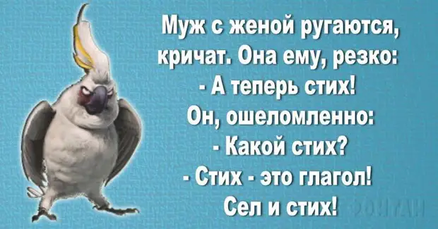 20 ярких женских шуток, которые поднимут настроение на весь день