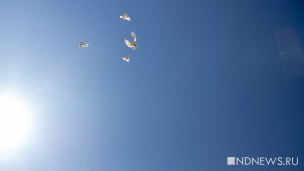 День равен ночи: сегодня наступит астрономическая весна