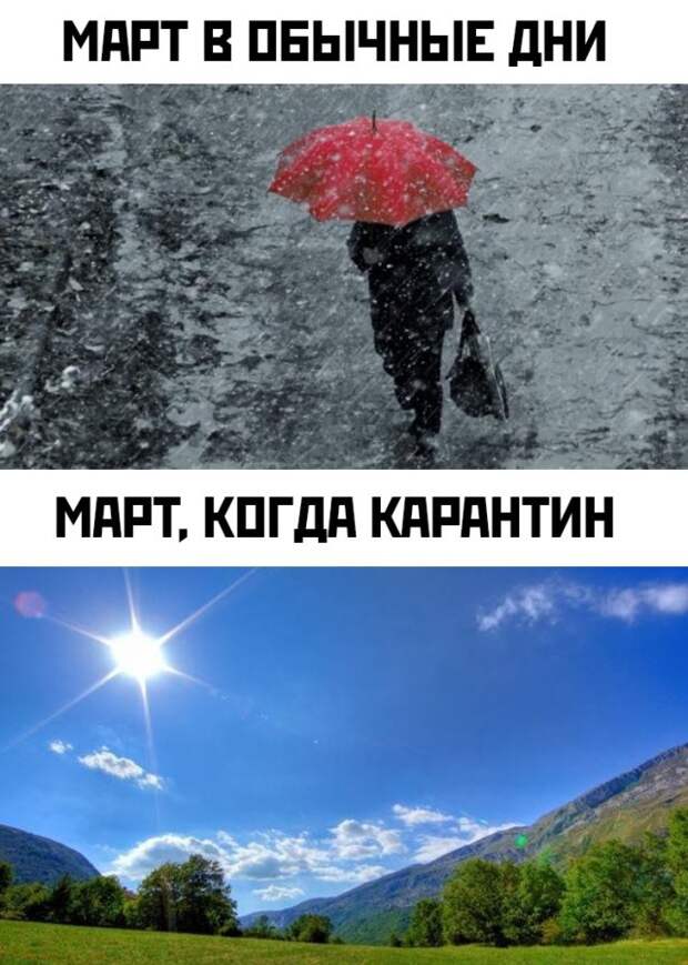 Смешные фото вечер 25 марта 2020