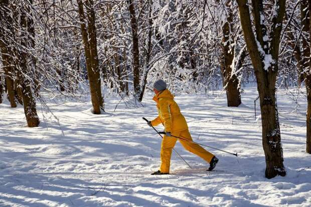 Фото: М.Денисов/ Mos.ru