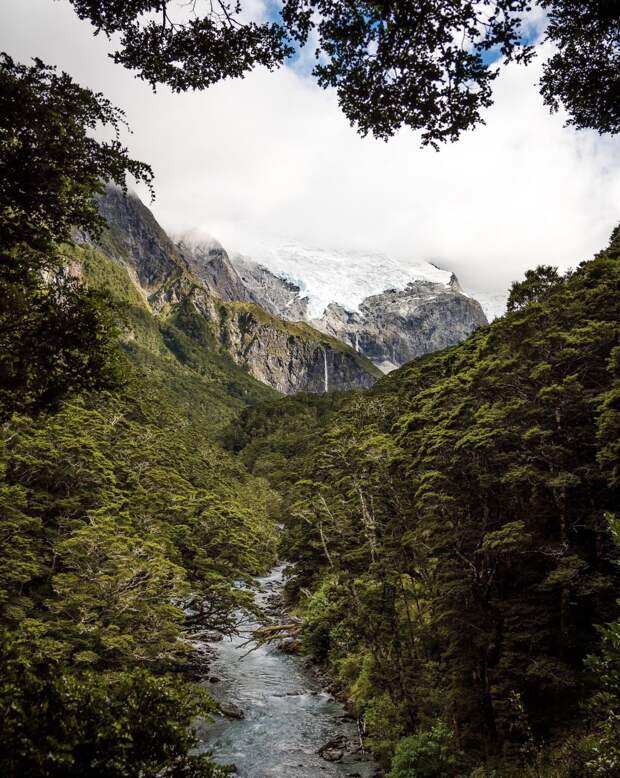 В Новой Зеландии есть места, напоминающие доисторический мир, - как на этой фотографии. Гора Аспиринг, ледник Роба Роя красивые места, красота, ледник, ледники, природа, путешественникам на заметку, туристу на заметку, фото природы