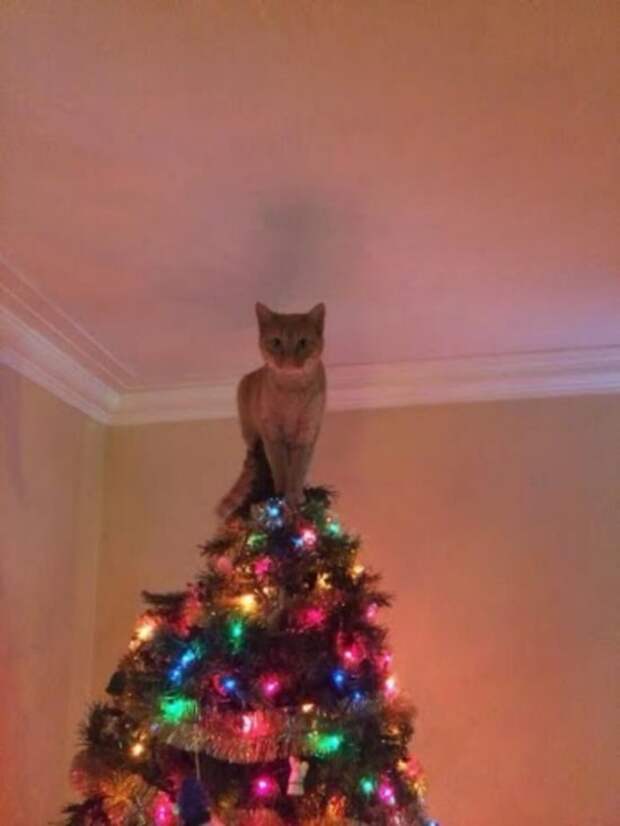 Праздник удался! Жмите лайк!
