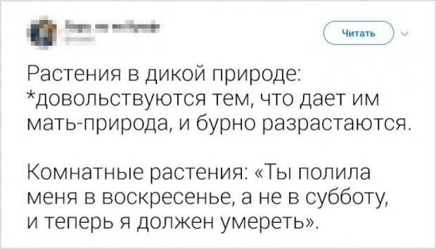 www.vsyako.net