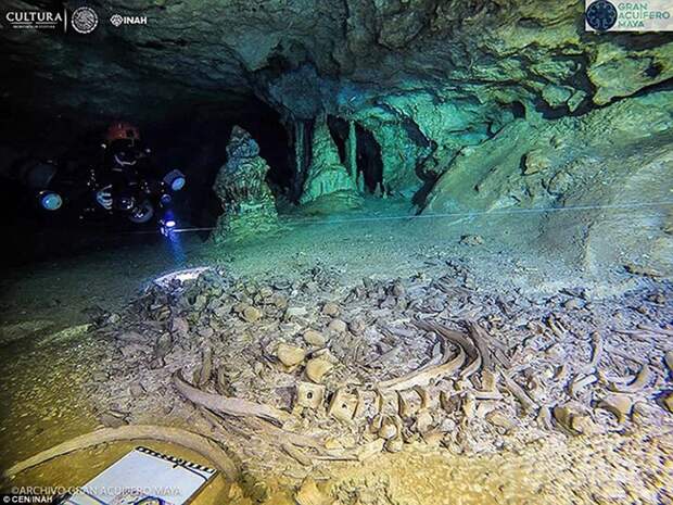 В подводных пещерах Мексики нашли уникальные артефакты цивилизации майя водолазы, древний человек, интересное, мир, находка, останки, скелет, фото