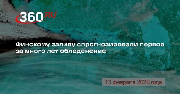 Колесов: Финский залив покрылся льдом на 80% и может замерзнуть полностью