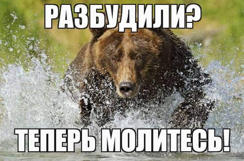 Вид теперь. Разбудили медведя молитесь. Разбудили теперь молитесь. Разбудили медведя теперь. Разбудили русского медведя картинки.
