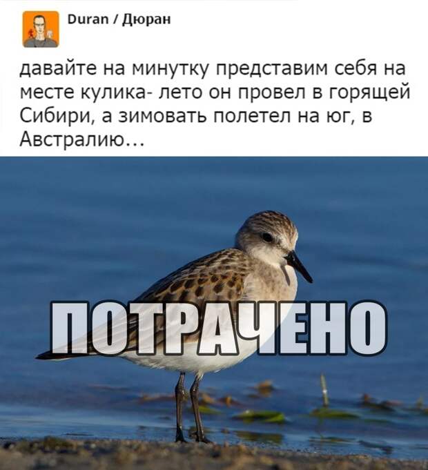 www.vsyako.net