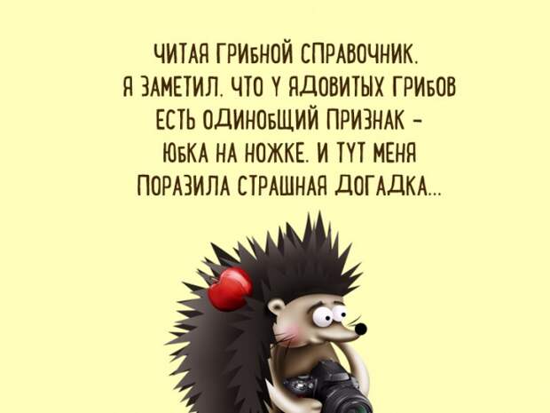 otkritki