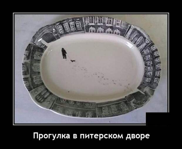 Демотиваторы 29 декабря 2021 года