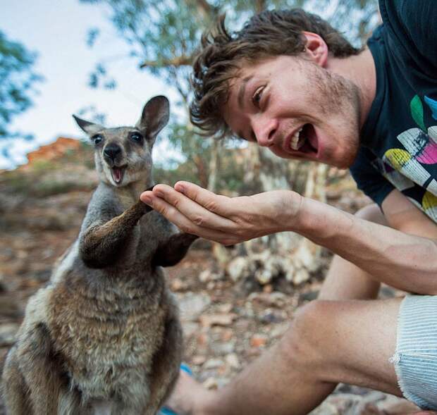 5511060-880-1450945704-funny-animal-selfies-allan-dixon-21