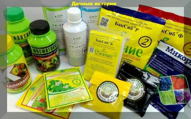 Правильное применение биопрепаратов и почвоулучшителей
