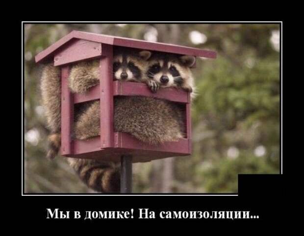 demotivatory-demotivator-smeshnye-demotivatory-demotivator-so-smyslom