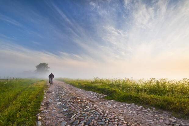 558759_10151442894729775_221659368_n