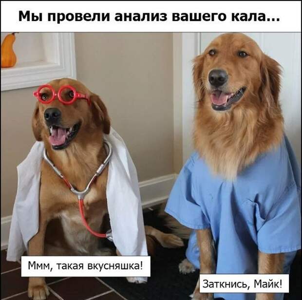 Давайте улыбаться вместе!
