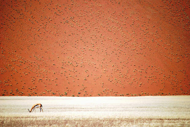 national-geographic-travel-photographer-of-the-year-contest-2016-78-572c4631b8b3f__880