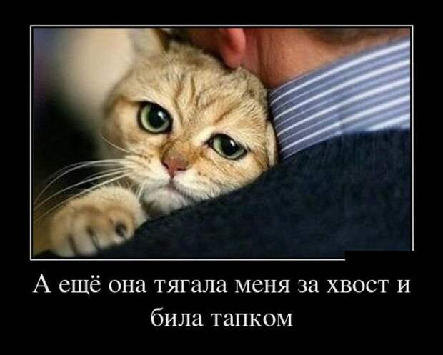 Демотиваторы на пятницу (30 фото)