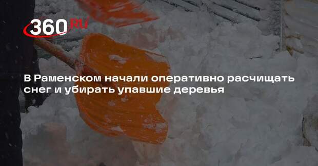 В Раменском начали оперативно расчищать снег и убирать упавшие деревья