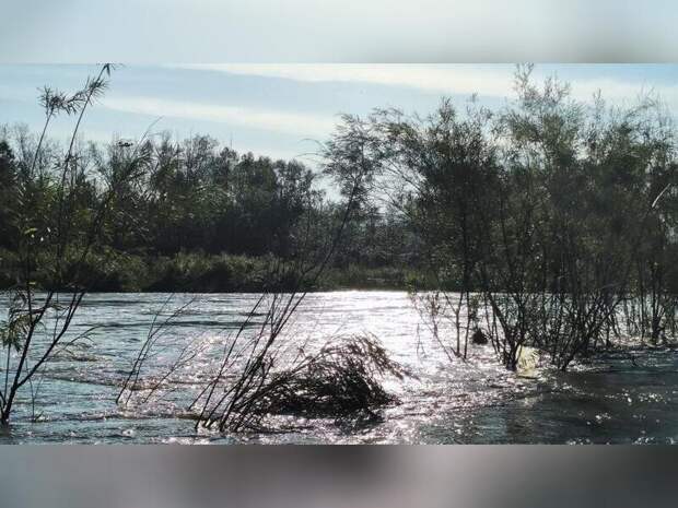 Забайкалье многократно усилило защиту от паводков