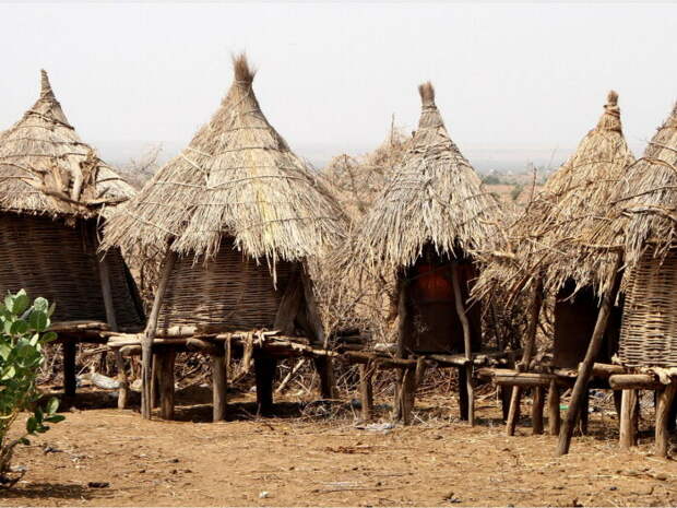 Традиционные дома племени Данасек в долине Омо (Эфиопия). | Фото: exploring-africa.com.