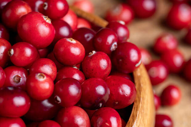Biomedicines: клюква снижает риск развития кариеса и воспаления десен