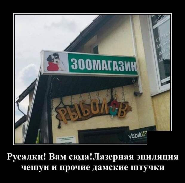 demotivatory-demotivator-smeshnye-demotivatory-demotivator-so-smyslom