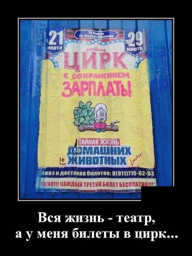 demotivatory-demotivator-smeshnye-demotivatory-demotivator-so-smyslom