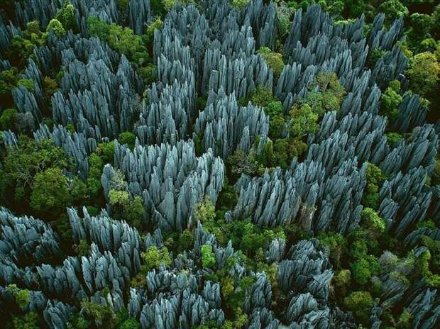 1. Цинжи дю Бемараха, Мадагаскар. красивые места, прекрасная планета, чудеса природы