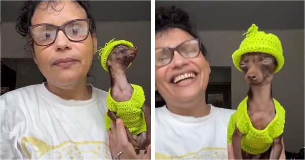 Яркий костюм превращает собачку в мини-Снуп Дога