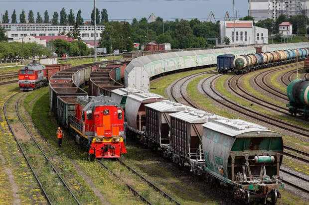 Фото © ТАСС/Виталий Невар