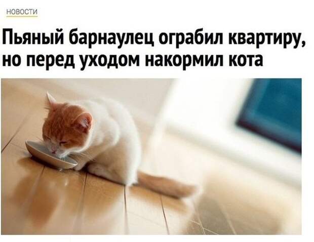 Прикольные картинки. Дневной выпуск (53 фото) Прикольные картинки. Дневной выпуск (53 фото)