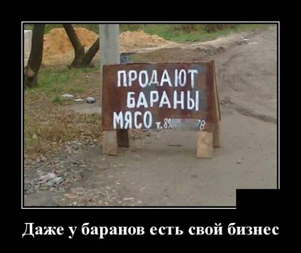 Демотиваторы (30 фото)