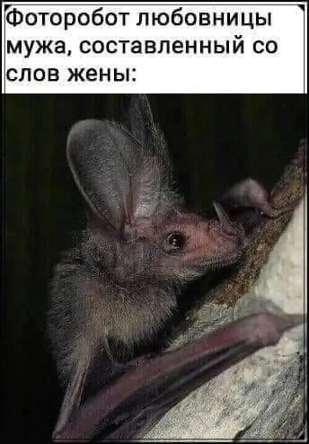 - Зачем ты снова купила пышки, ты же от них полнеешь? - Не знаю, проходила мимо пекарни, сработала пышечная память приходи, тогда, летим, высоте, какой, метров, говорит, понедельник, когда, работу, только, огонь, планерка, заболел, обещал, Только, опаздывай, думаешь, Принесите, таком