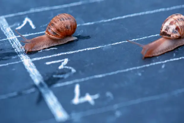 Привычка сравнивать себя с другими и соперничать.