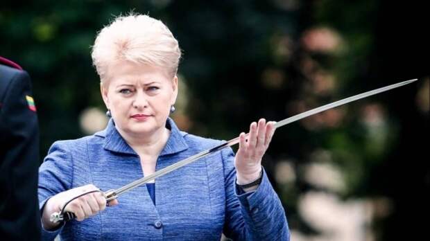 Литва объявит о выходе из Евросоюза? Литва объявит о выходе из Евросоюза?