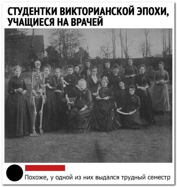setey-socialnyh-kommentarii-citaty-vkontakte-vkontakte-smeshnye-statusy