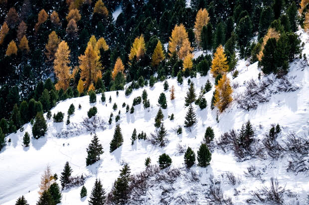 Туристка отправилась в Европу и дважды пропала без вести
